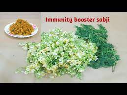 Drumstick Flowers Recipe Sahjan Ke Phool Ki Sabji Winter Recipe Moringa Flower Stir Fry Youtube