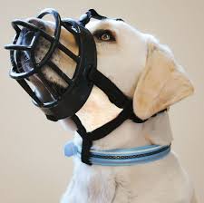 Baskerville Ultra Dog Muzzle Size 3 Black Muzzle For