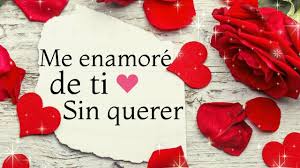 Me Enamore De Ti Sin Querer Te Amo Video De Amor Para Dedicar Youtube Poema De Amor Te Amo Mi Amor Frases De Te Amo