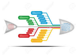 Fishbone Diagram Cause And Effect Diagram Vector Chart And