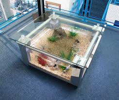 See more ideas about aquarium coffee table, aquarium, fish tank coffee table. Great Ideas For Coffee Table Fish Tanks Glass Fish Tanks