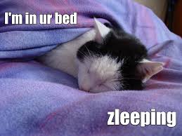 Image result for welcome to the internet meme