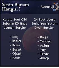 Siz Hangi Burcsunuz Begen Yorum Ve Kaydet Ile Destek Olabilirsiniz Burclarla Merak Ettiginiz Her Sey Bu Sayfada B Burclar Burc Bilgileri Ikizler Burcu