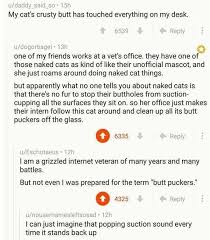 Birds Do It Bees Do It Even Educated Fleas Do It Meme Pin By Hilde Eines On Funny Stuff Tumblr Funny Funny Amusing