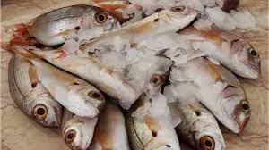 For children, a serving is 1 ounce at age 2 and increases with age to 4 ounces by age 11. Here S How Often You Should Be Eating Fish Every Week National Globalnews Ca