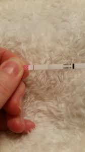 White chunky discharge around labia. 21 Dpo Creamy Cm