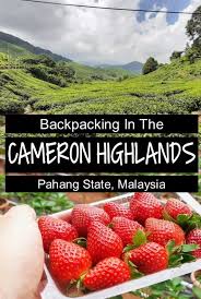 Book cameron highlands resort at special rates. Pin On Travel In Asia