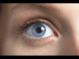 Eye twitching, i never really thought. What Does It Mean When Your Left Eye Twitches Youtube