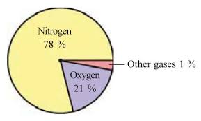 Answer The Questions Based On The Pie Graph 1 What Is The