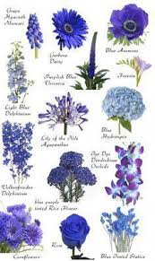 Flower Names By Color Blue Flower Names Flower Names Blue Wedding Flowers