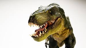 Tyrannosaurus 1080p 2k 4k 5k Hd Wallpapers Free Download Wallpaper Flare The great collection of jurassic world t rex wallpaper for desktop, laptop and mobiles. 1080p 2k 4k 5k hd wallpapers