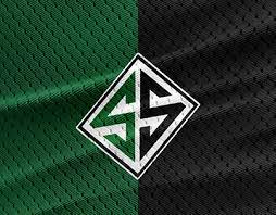 This transfer statistic shows the compact view of the most expensive signings by sakaryaspor in the 20/21 season. Sakaryaspor Projects Photos Videos Logos Illustrations And Branding On Behance