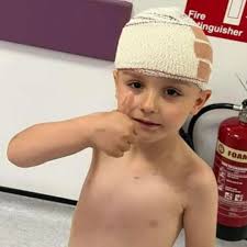 Sons of woman found her fighting for life after she was mauled by 2 XL  bullies