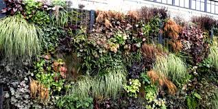 Der garten ist übersichtlich strukturiert, wenn es regnet, geht man halt in die tropischen gewächshäuser. Botanischer Garten Hoxter Noch Attraktiver Newsgo Nachrichten Aus Ostwestfalen Lippe