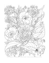 Next we have a wonderful featured above is a pretty coloring page of some petunia flowers! 45 Adult Coloring Book Wallpaper On Wallpapersafari