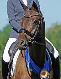 American Hanoverian Society Awards Program, Inspection & Performance by  eqmediallc