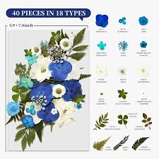 It will become brown, sludgy or mouldy in a short time. Buy 120 Pcs Dried Pressed Flowers For Resin Art Natural Dried Flowers Colorful Chrysanthemum Daisy With Tweezers For Scrapbooking Diy Candle Decoration Resin Jewelry Crafts Making Blue White Yellow Online In Poland B08yz15qdh