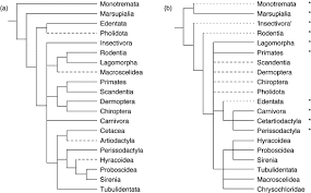 In this video you will learn how to do formation of colorful phylogeny tree in mega 7. Molecules Remodel The Mammalian Tree Trends In Ecology Evolution