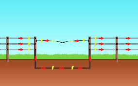 You'll receive email and feed alerts when new items arrive. Electric Fence Gate Electro Gate Gate Systems Electric Gate Ki Albert Kerbl Gmbh