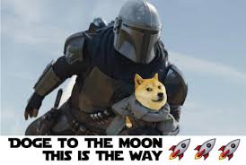 $xrp will be $100 end of this run. Doge To The Moon This Is The Way 9gag
