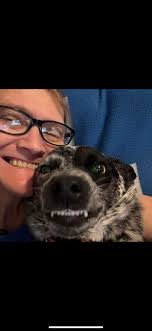 This is opie and he enjoys chewing