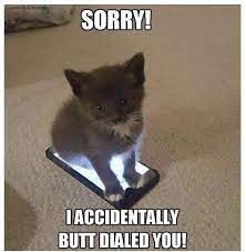 We these memes are too little collection but very funny. 25 Funny Cat Memes Live One Good Life