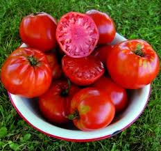 They have lower acidity than red types and are surprisingly very sweet. Top Ten Heirloom Tomato Varieties Seed Savers Exchange Blog