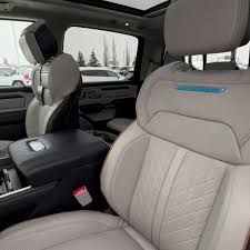 Image result for Power Tan 2025 Dodge