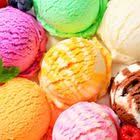 Max The Unicorn Wordless Wednesday Artvo Melbourne Trip Pictures Harbour Town