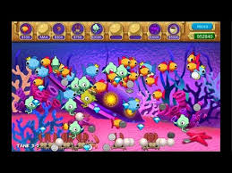 May 14, 2011 · licence code: Insaniquarium Free Download