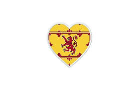 Cookies are currently enabled to maximize your teepublic experience. Pflaster Badge Drucken Thermocollant Flagge Schottischen Herz Fruugo De