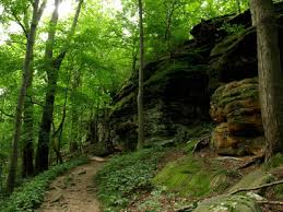 Maybe you would like to learn more about one of these? Running Trails Near Cuyahoga Valley National Park