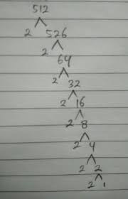 Jadi kembali lagi, pangkat terkecil dicari karena kata faktor, bukan karena kata besar. 8 Pangkat 3 Di Buat Pohon Faktor Brainly Co Id