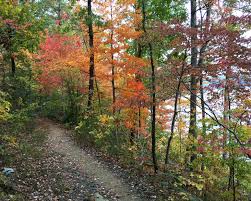 Check spelling or type a new query. Hike Sheltowee Trace Kentucky S 323 Mile Long Trail The Trek