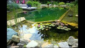 Natural Swimming Pools Created By John S Pools And Ponds No Chlorine Natural Pool Natural Pond Natural Swimming Ponds