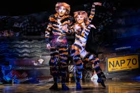 Fandalism is a site where musicians like anna carina buchegger meet guitarists, drummers, bassists, singers, and other musicians. Tapsen Im Teamwork Cats Kehrt Ins Wiener Ronacher Zuruck