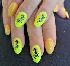 Maybe you would like to learn more about. Nehtove Studio Andy Studio Posh