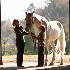 When Horses Reach Retirement Age Kpp