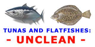 Tunas And Flatfishes Unclean Scripture Truth Ministries