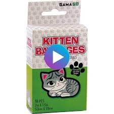 アクエリアス子猫の包帯 kitten funny gif bruises