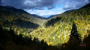 What to see in the smoky mountains? Great Smoky Mountain National Park Youtube