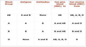 Blood Typing Antigen Chart Images Google Search Blood