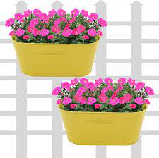 This planter is great for home or apartment use and helps you make the most of your porch or patio living space. Klaxon Railing Planters 12 Oval Balcony Railing Planter Railing Flower Garden Pots And Wall Planters For Balcony Yellow Metal Planter Holder 2pcs Buy Online In Burkina Faso At Burkinafaso Desertcart Com Productid