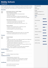 How To Make A Resume For A First Job No Experience Samples