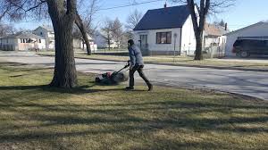 We're experts grass cutting and we have reliable and efficient… Lawn Care Services In Winnipeg Mb 204 202 6939