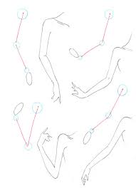 How To Draw Arms I Draw Fashion Your drawings of the arm will depend on how thorough your knowledge of anatomy is and on how you need to know the bones and the major muscle groups and how they move to draw the arm well.