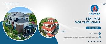 Viglacera Hạ Long