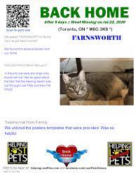 Please make note of the exact location the animal was found prior to bringing them to our building. Lost Cats Toronto Posts Facebook