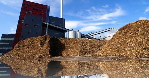 Biomass Energy