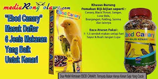 Beragam jenis pakan burung lovebird baik itu untuk pengacor, lomba atau untuk kepentingan ternak semua ada disini. Efek Gold Coin Kenari Untuk Lovebird Kekinian